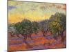 Grove of Olive Trees, 1889-Vincent van Gogh-Mounted Premium Giclee Print