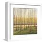 Grove of Trees-Libby Smart-Framed Art Print