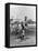 Grover Alexander, Philadelphia Phillies, Baseball Photo No.1 - St. Louis, MO-Lantern Press-Framed Stretched Canvas