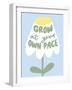 Grow at Your Pace-Beth Cai-Framed Photographic Print