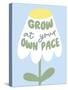 Grow at Your Pace-Beth Cai-Stretched Canvas