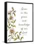 Grow in Grace-Elizabeth Medley-Framed Stretched Canvas