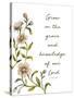 Grow in Grace-Elizabeth Medley-Stretched Canvas