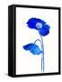 Grow Indigo-Evangeline Taylor-Framed Stretched Canvas