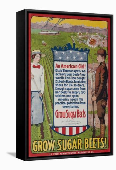 Grow Sugar Beets, American WWI Home Front Poster-David Pollack-Framed Stretched Canvas