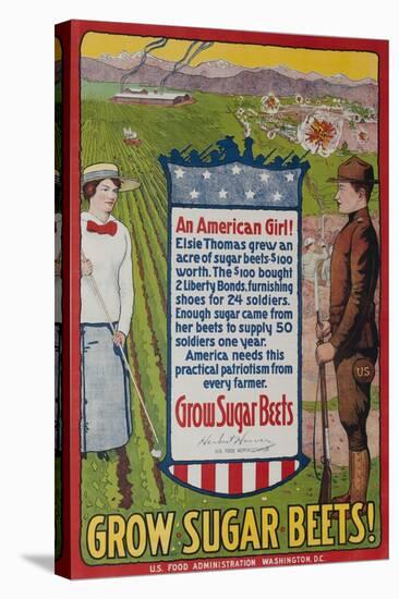Grow Sugar Beets, American WWI Home Front Poster-David Pollack-Stretched Canvas
