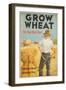 Grow Wheat the Crop That Pays-null-Framed Giclee Print