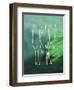 Grow with Me-Leah Flores-Framed Premium Giclee Print