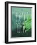 Grow with Me-Leah Flores-Framed Premium Giclee Print