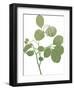 Grow Your Own Way-Maria Mendez-Framed Giclee Print