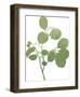 Grow Your Own Way-Maria Mendez-Framed Giclee Print