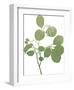 Grow Your Own Way-Maria Mendez-Framed Giclee Print