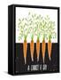 Growing Carrots Scratchy Drawing and Lettering. Raster Variant.-Popmarleo-Framed Stretched Canvas