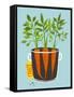 Growing Carrots with Green Leafy Top in Mug. Root Vegetables Container Gardening Illustration. Laye-Popmarleo-Framed Stretched Canvas