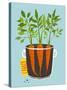 Growing Carrots with Green Leafy Top in Mug. Root Vegetables Container Gardening Illustration. Laye-Popmarleo-Stretched Canvas