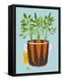 Growing Carrots with Green Leafy Top in Mug. Root Vegetables Container Gardening Illustration. Laye-Popmarleo-Framed Stretched Canvas