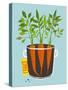 Growing Carrots with Green Leafy Top in Mug. Root Vegetables Container Gardening Illustration. Laye-Popmarleo-Stretched Canvas