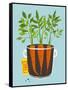 Growing Carrots with Green Leafy Top in Mug. Root Vegetables Container Gardening Illustration. Laye-Popmarleo-Framed Stretched Canvas