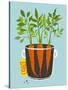 Growing Carrots with Green Leafy Top in Mug. Root Vegetables Container Gardening Illustration. Laye-Popmarleo-Stretched Canvas