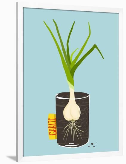 Growing Garlic with Green Leafy Top in Mug. Vegetable Container Gardening Illustration. Layered Vec-Popmarleo-Framed Art Print