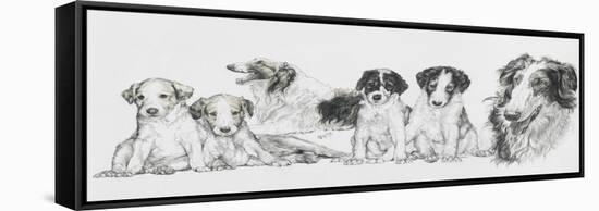 Growing Up Borzoi-Barbara Keith-Framed Stretched Canvas