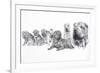 Growing Up Shar Pei-Barbara Keith-Framed Giclee Print