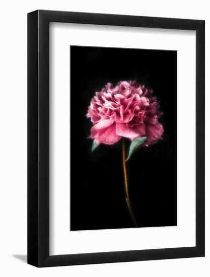 Growing up-Philippe Sainte-Laudy-Framed Photographic Print