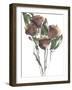 Growing Wild I-Ethan Harper-Framed Art Print