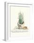 Grown at Home I Cream-Danhui Nai-Framed Art Print