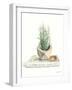 Grown at Home I-Danhui Nai-Framed Art Print