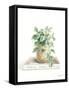 Grown at Home II-Danhui Nai-Framed Stretched Canvas