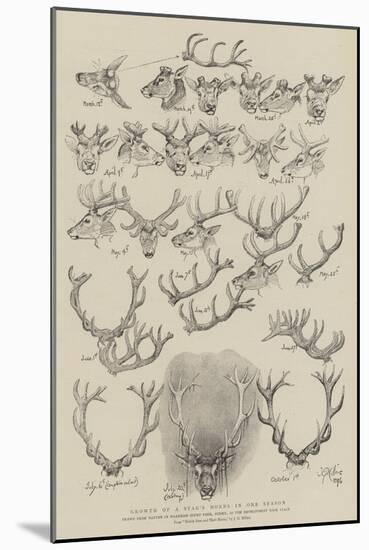 Growth of a Stag's Horns in One Season-John Everett Millais-Mounted Giclee Print