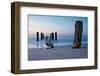 Groyne on Shore in the Evening.-RicoK-Framed Photographic Print