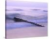 Groyne, Sylt, Schleswig-Holstein, Germany-null-Stretched Canvas