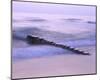 Groyne, Sylt, Schleswig-Holstein, Germany-null-Mounted Art Print