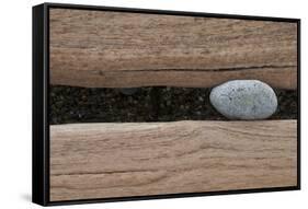 Groynes, abstract view of pebble stuck in weathered timber, West Runton, Norfolk-David Burton-Framed Stretched Canvas
