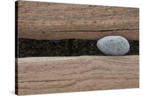 Groynes, abstract view of pebble stuck in weathered timber, West Runton, Norfolk-David Burton-Stretched Canvas