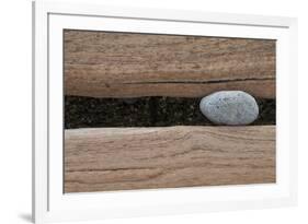 Groynes, abstract view of pebble stuck in weathered timber, West Runton, Norfolk-David Burton-Framed Photographic Print