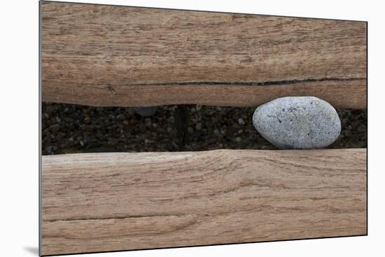 Groynes, abstract view of pebble stuck in weathered timber, West Runton, Norfolk-David Burton-Mounted Photographic Print