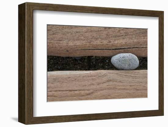 Groynes, abstract view of pebble stuck in weathered timber, West Runton, Norfolk-David Burton-Framed Photographic Print