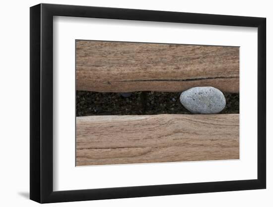 Groynes, abstract view of pebble stuck in weathered timber, West Runton, Norfolk-David Burton-Framed Photographic Print