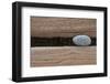 Groynes, abstract view of pebble stuck in weathered timber, West Runton, Norfolk-David Burton-Framed Photographic Print