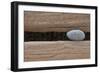 Groynes, abstract view of pebble stuck in weathered timber, West Runton, Norfolk-David Burton-Framed Photographic Print