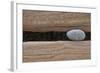 Groynes, abstract view of pebble stuck in weathered timber, West Runton, Norfolk-David Burton-Framed Photographic Print