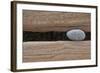 Groynes, abstract view of pebble stuck in weathered timber, West Runton, Norfolk-David Burton-Framed Photographic Print