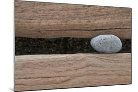 Groynes, abstract view of pebble stuck in weathered timber, West Runton, Norfolk-David Burton-Mounted Photographic Print