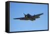 Grumman Avenger, Warbirds over Wanaka, War Plane, New Zealand-David Wall-Framed Stretched Canvas