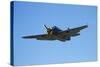 Grumman Avenger, Warbirds over Wanaka, War Plane, New Zealand-David Wall-Stretched Canvas