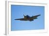 Grumman Avenger, Warbirds over Wanaka, War Plane, New Zealand-David Wall-Framed Photographic Print