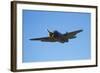 Grumman Avenger, Warbirds over Wanaka, War Plane, New Zealand-David Wall-Framed Photographic Print